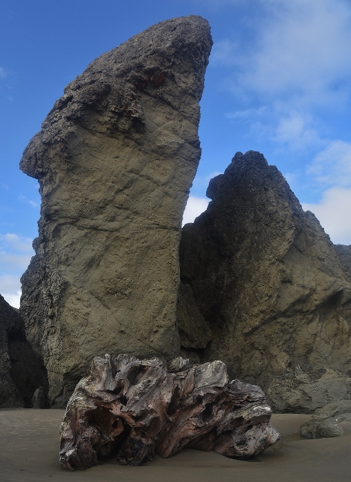 tree trunk with vertical rock in background